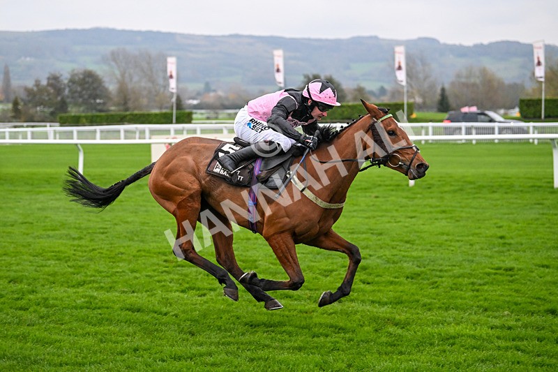 151124-Race 5-Gale Mahler-8457 - Race 5