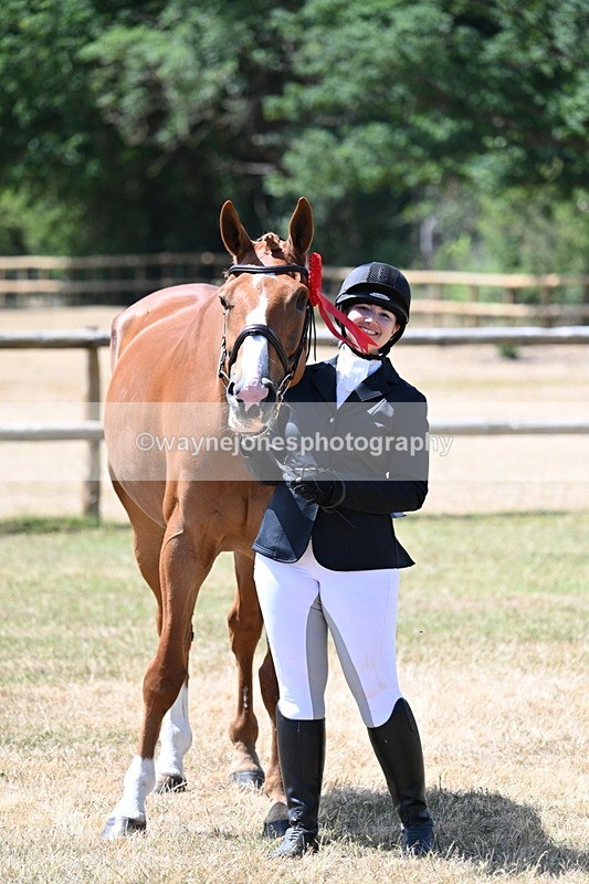 WJ7_2447 - Class 5a Most Handsome Gelding in hand (above 14.2hh)