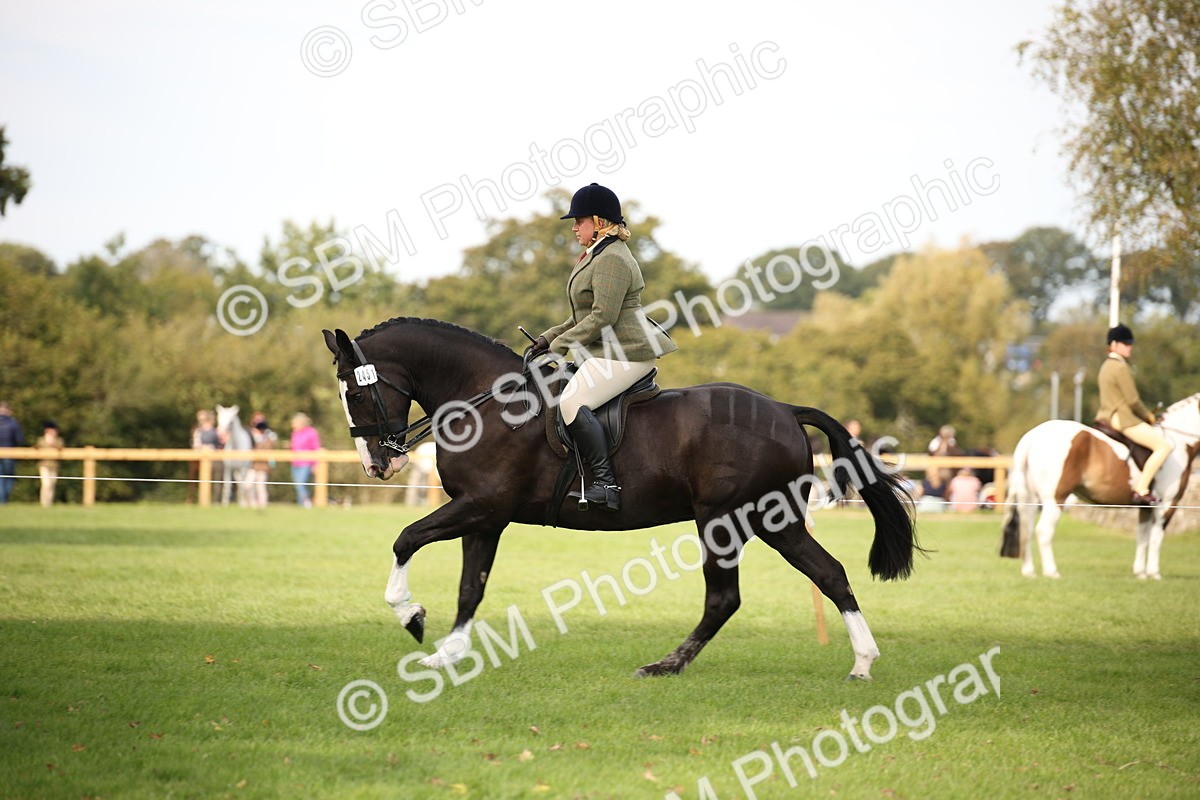 SBM_70399 - S66 - Hunter Ridden