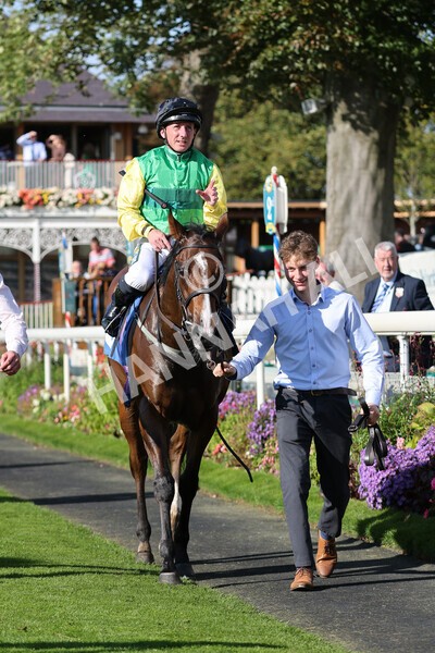 yr08102021r2-33 - Race 2 2.40pm Racing to School EBF Novice Stakes