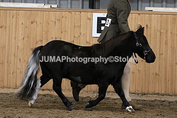 SIAL9385 - Large indoor school Saturday