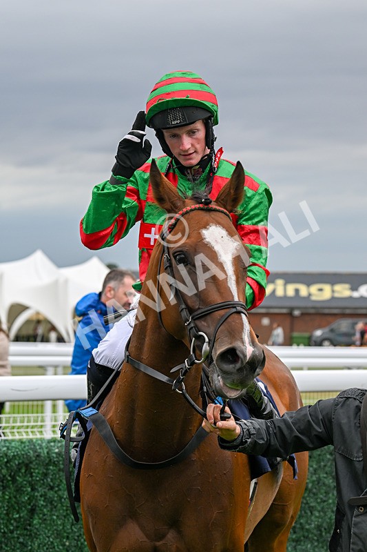 150824-Race 4-Opal Storm-8116 - Race 4