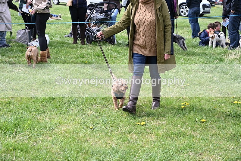 WJ6_8311 - Class 4 Prettiest Bitch