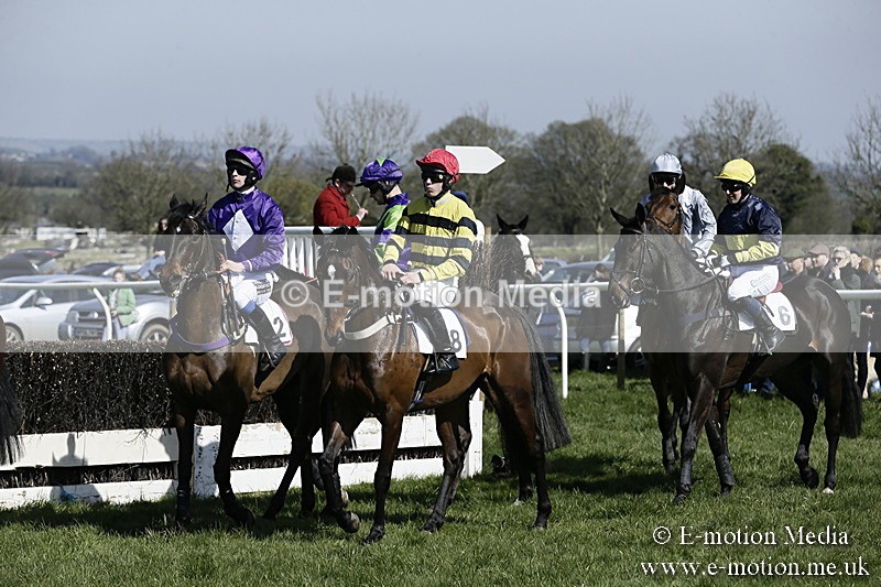 PtP 260317 41 - Mendip Farmers Point-to-Point Ston Easton 26/03/17