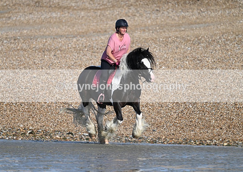 WJ7_3786 - Kellie & Churchill ... do Hayling Island 25-08-24
