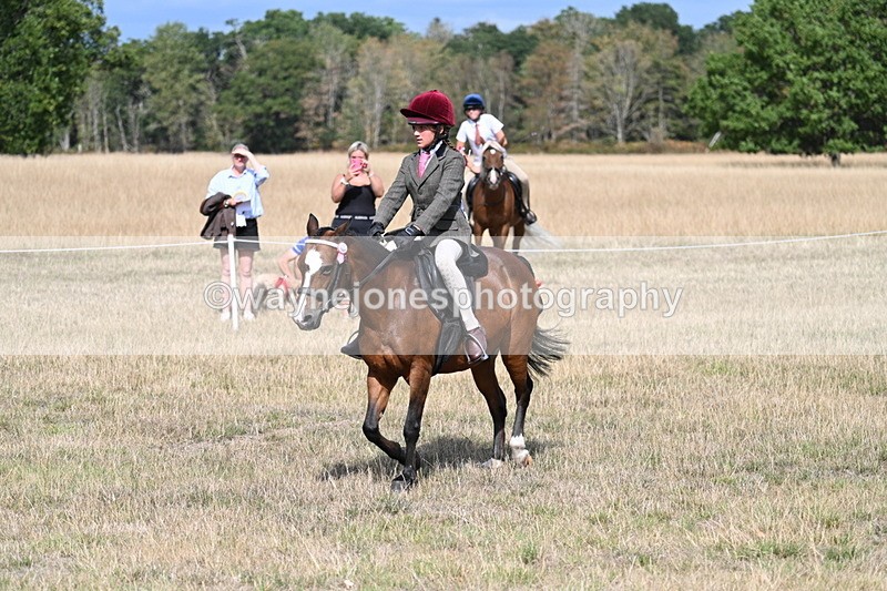 WJ7_6201 - Class 13 Ridden Veterans