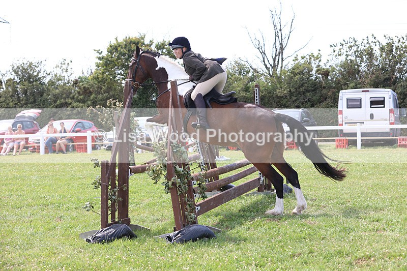 JPP_3636 - Class 23: Working Hunter 80cm