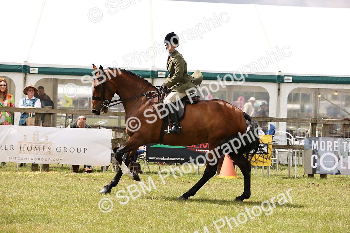 SBM_14673 - Class 88-89 - LIHS BSHA Rising Star of Ridden Hunter Type