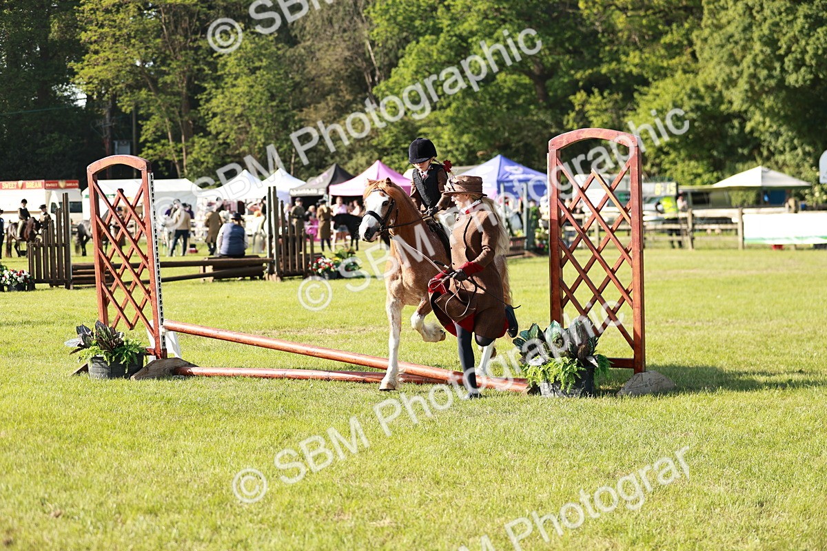 SBM_11199 - Class 106-107 - BSPS LIHS Working Sports Pony
