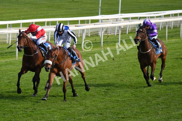 yr13052021r7-16 - Race 7 4.50pm Autohorn Stakes