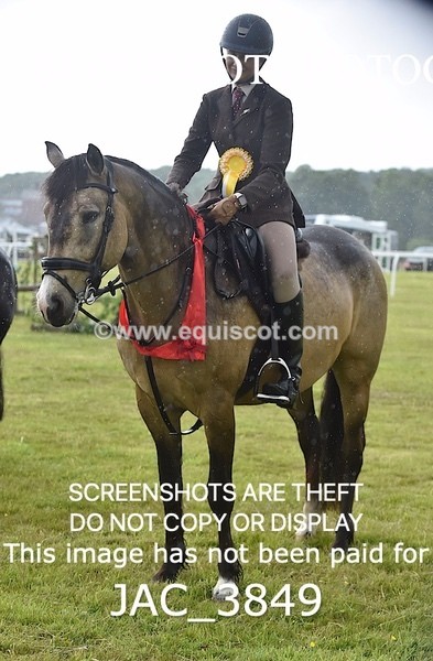 JAC_3849 - 65cm WORKING HUNTER