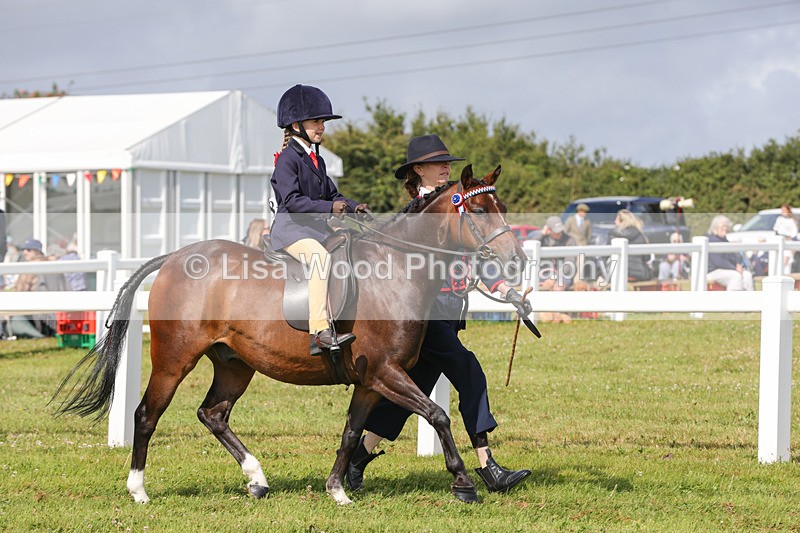 1X9A3572 - Class 29: Lead Rein SP/SHP