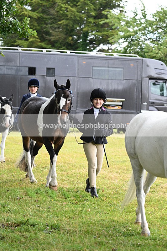 WJ7_5831 - Class 4 Prettiest Mare in Hand