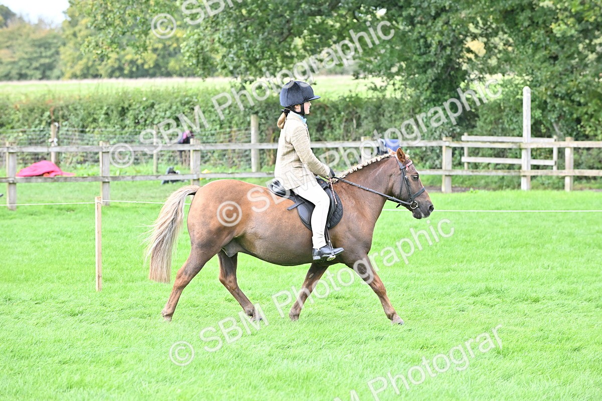 SBM_44470 - S13 - Pony Club Pony