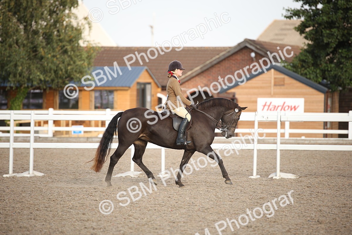 SBM_09188 - Regional Ridden Champ