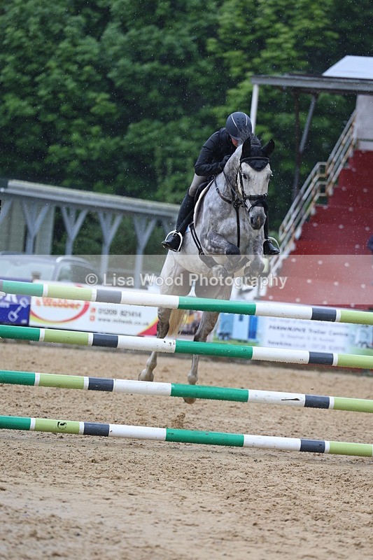 3E7A7399 - Class 8: Senior Foxhunter/1.20 open