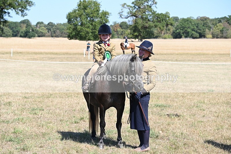WJ6_8155 - Class 36 Lead Rein