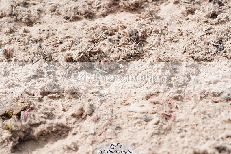 250505-095504-04162 - Cls 12 Stepping Stones