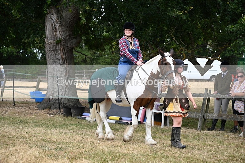 WJ6_4649 - Class 11 Fancy Dress