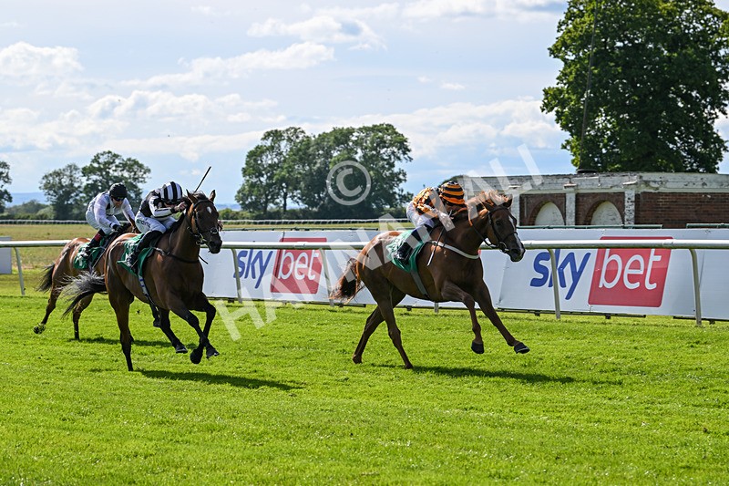 160624-Race 3-Mereside Diva-8527 - Race 3