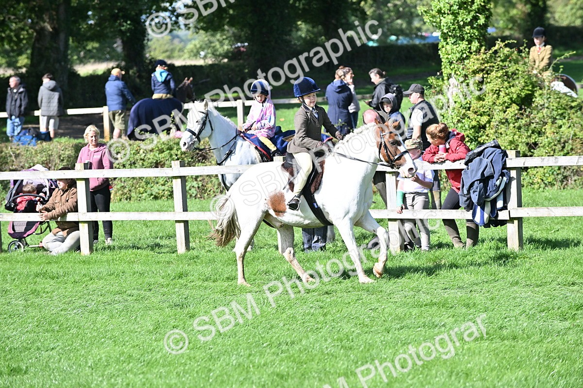 SBM_44571 - S13 - Pony Club Pony