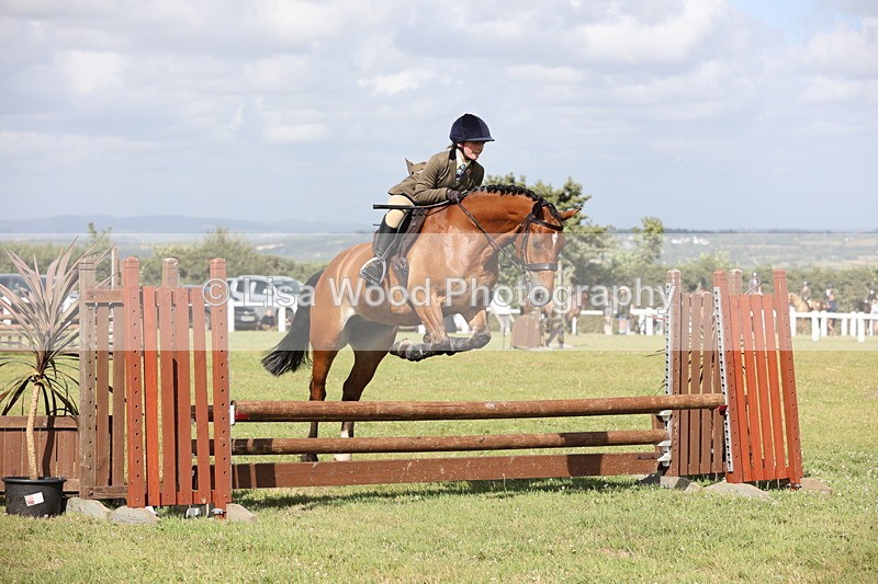 JPP_2613 - Class 20: Working Hunter 70cm