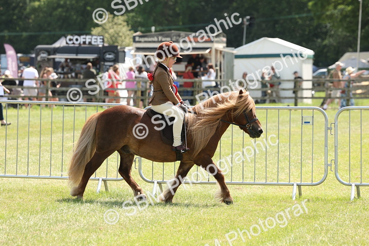 SBM_05384 - Class 24-25 - Mountain & Moorland In Hand Lead Rein and First Ridden