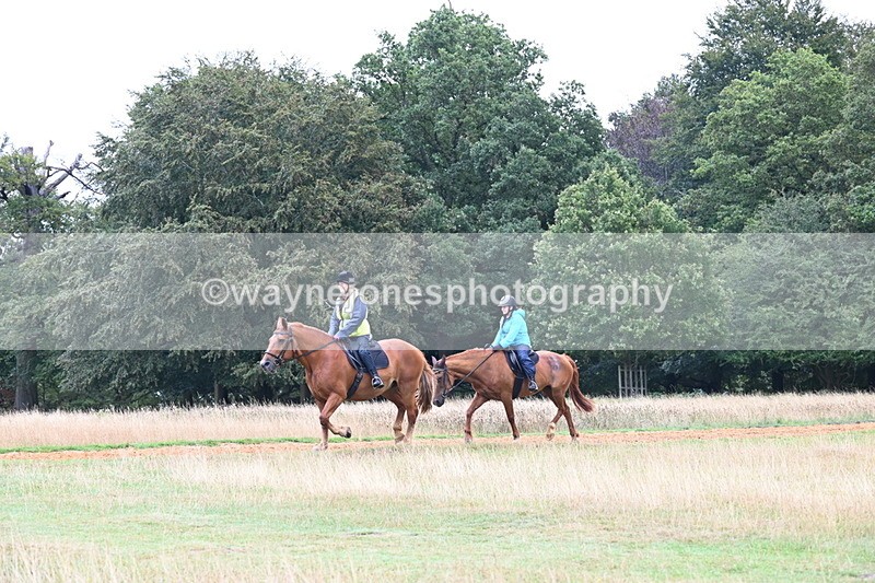 DSC_2645 - Time at Statue 12:34 to 12:56