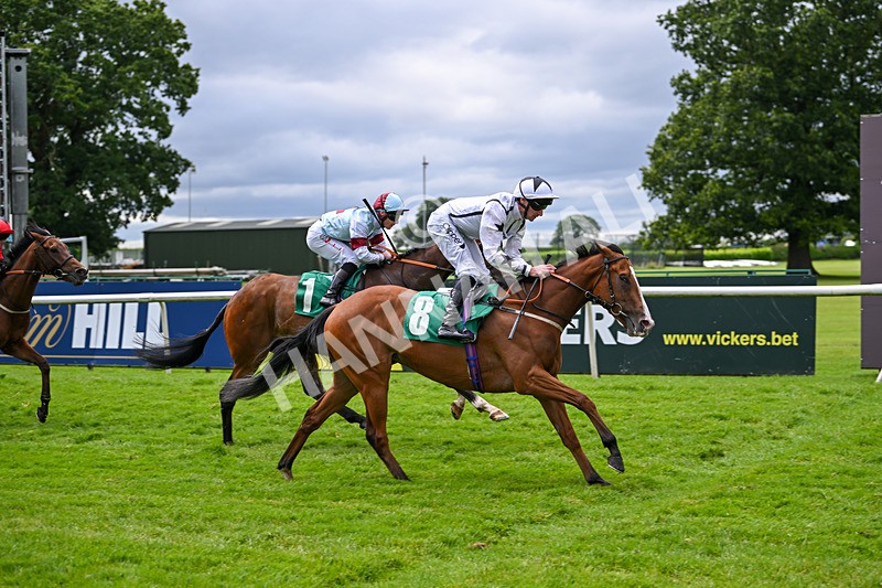 030724-Race 5-Petra Celera-0882 - Race 5