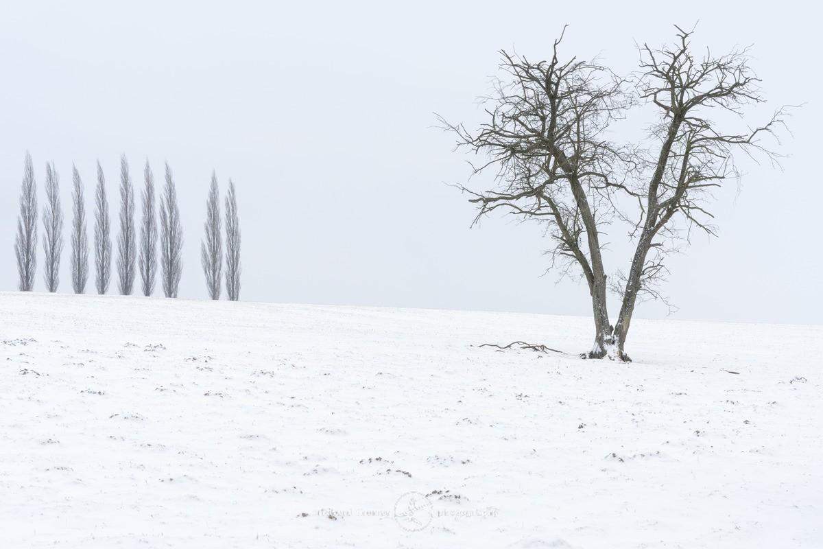 Dividing ridgeline - WINTER