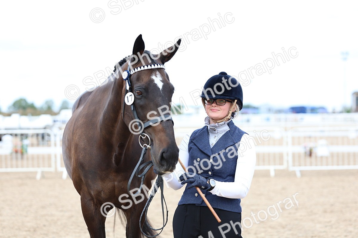 SBM_05759 - Class 28 - IH Veteran Horse