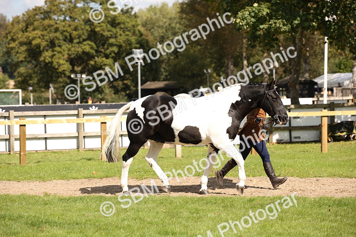 SBM_44384 - S24 - Young Veteran in hand