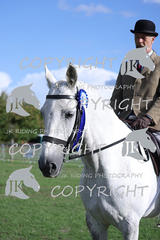 APP_4191 - Class 15a/b Pony club pony/Riding club horse