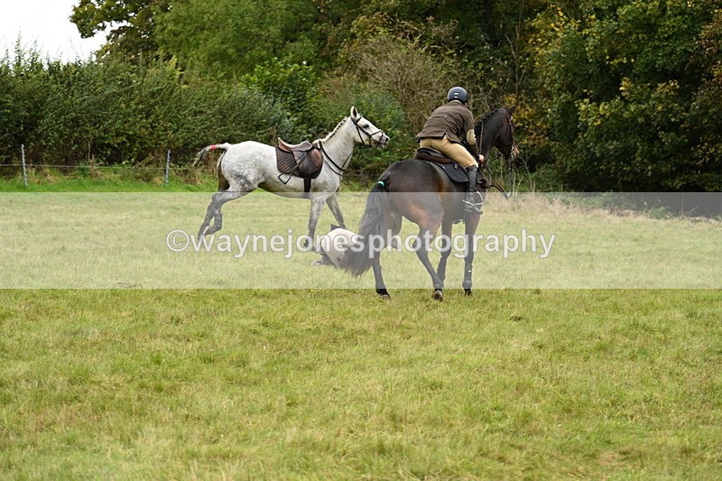 WJ7_4148 - Camera 1 Line 2