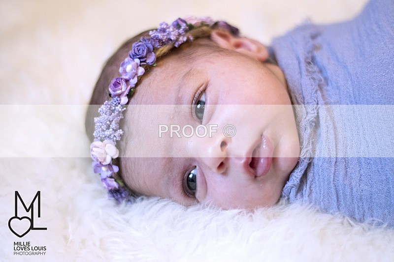 DSC_8872portfolio - Newborn Photoshoots