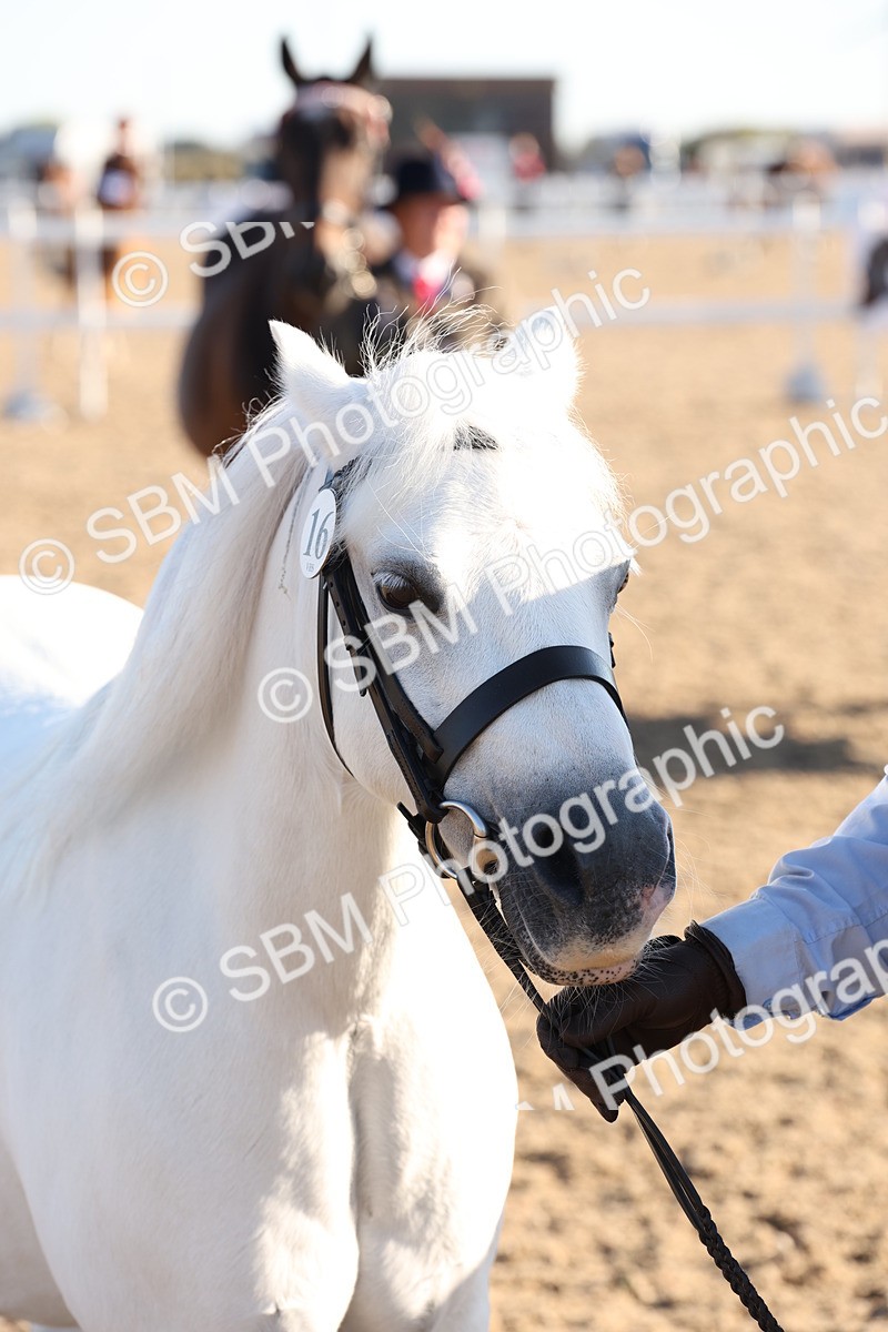SBM_10790 - Class 201 - Best Turned Out - IH