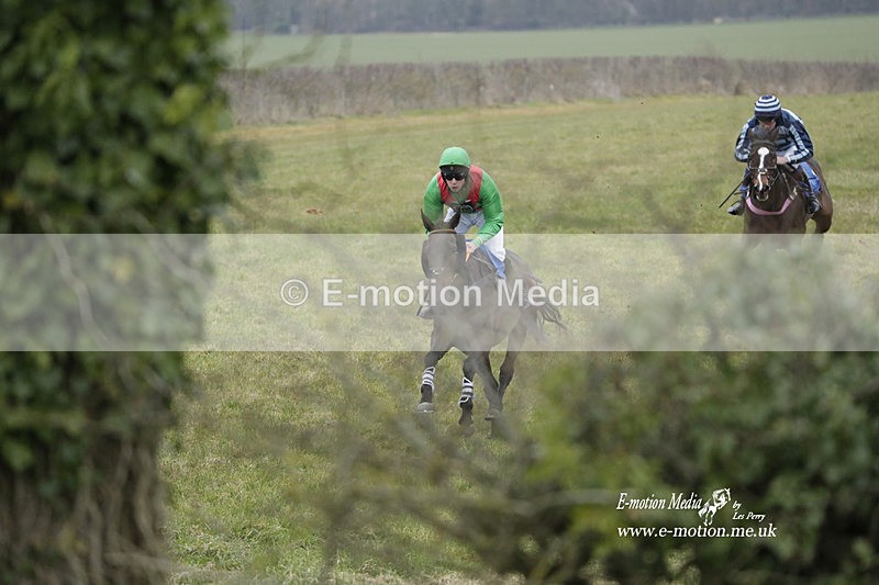 PtP 040323 352 - Duke of Beauforts Hunt Point-to-Point Didmarton 04/03/23