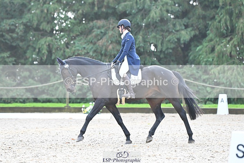 231019-120843-03019 - 112-REHY.HULABALOO-Millie.Rogers-DR