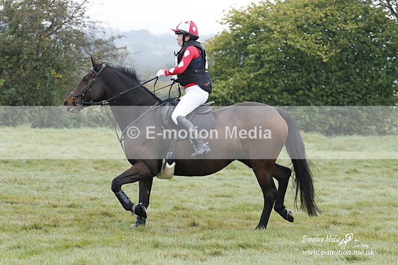 WWHT 171021 0433 - Novice Restricted (0.80m)  17/10/21