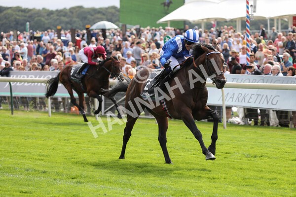 yr17082022r4-72 - Race 4 3.35pm Juddmonte International Stakes (British Champions Series Race)