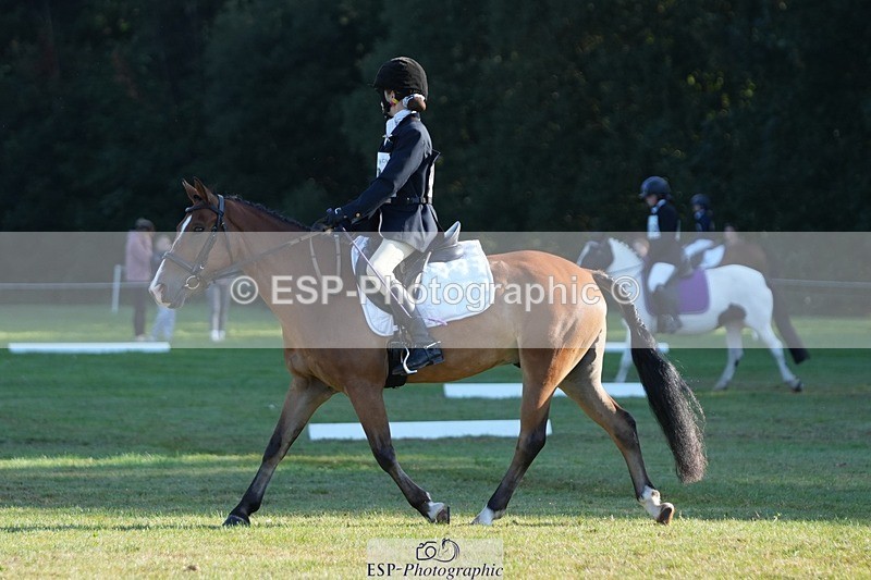 250823A-083935-25345 - Arena B