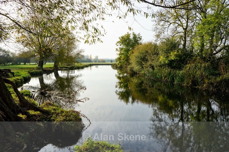 DSC01993 - Suffolk