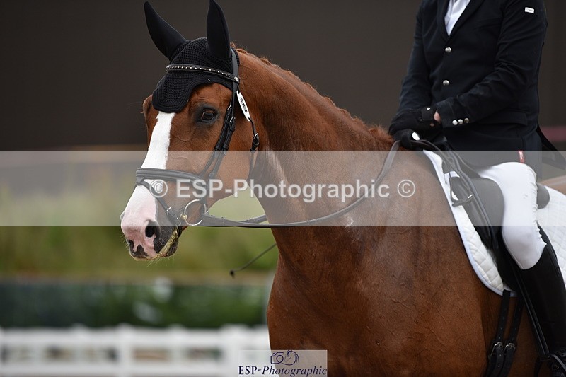 240623A-110930-17022 - Cls 47 BD Novice 22