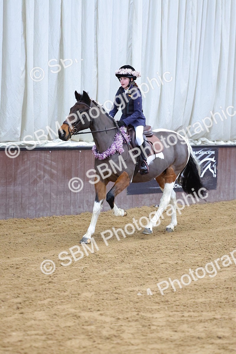 SBM_000124 - Class 1 - Show Jumping 50cm