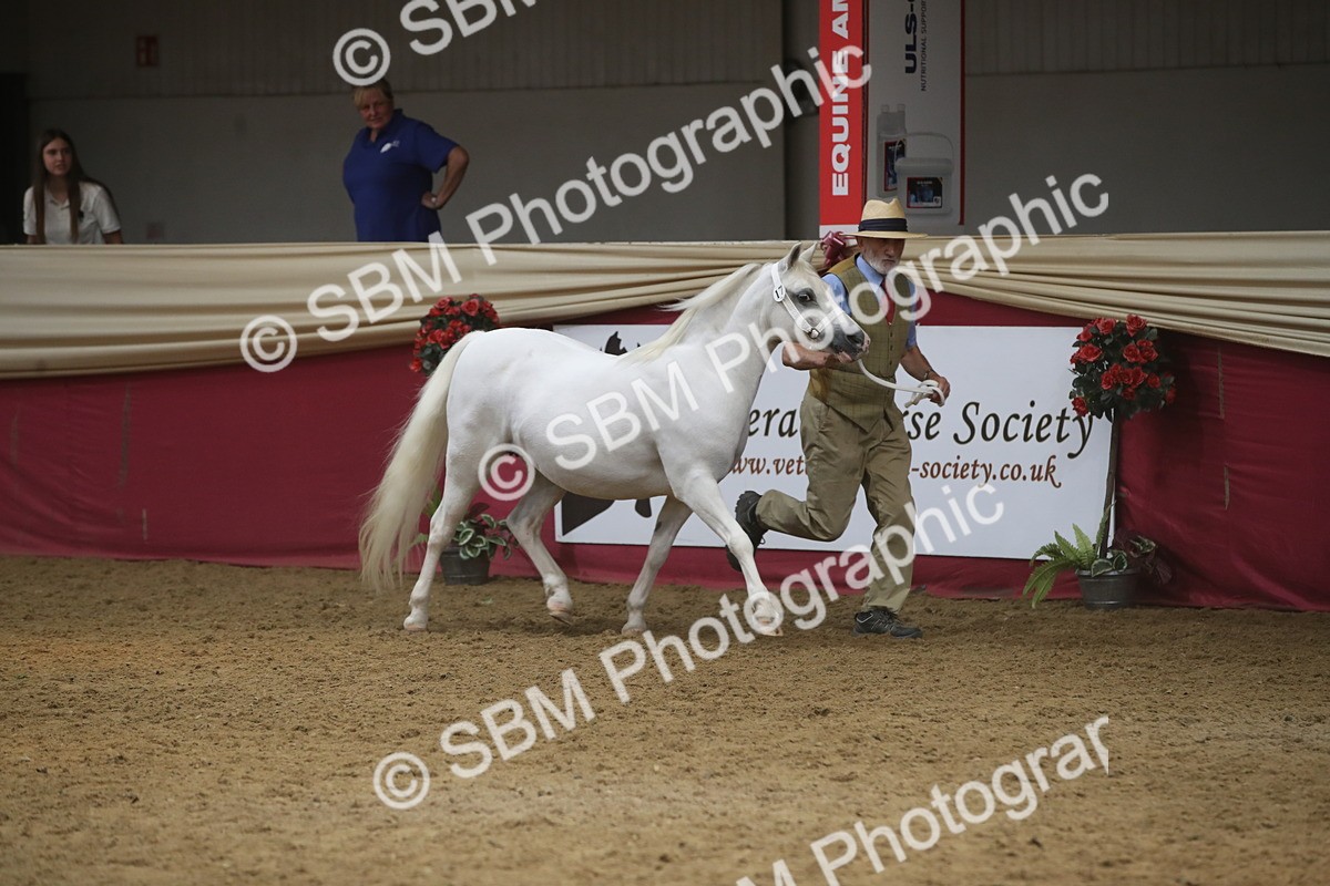 SBM_05530 - Class 9R - Regional IH Pre-Vet