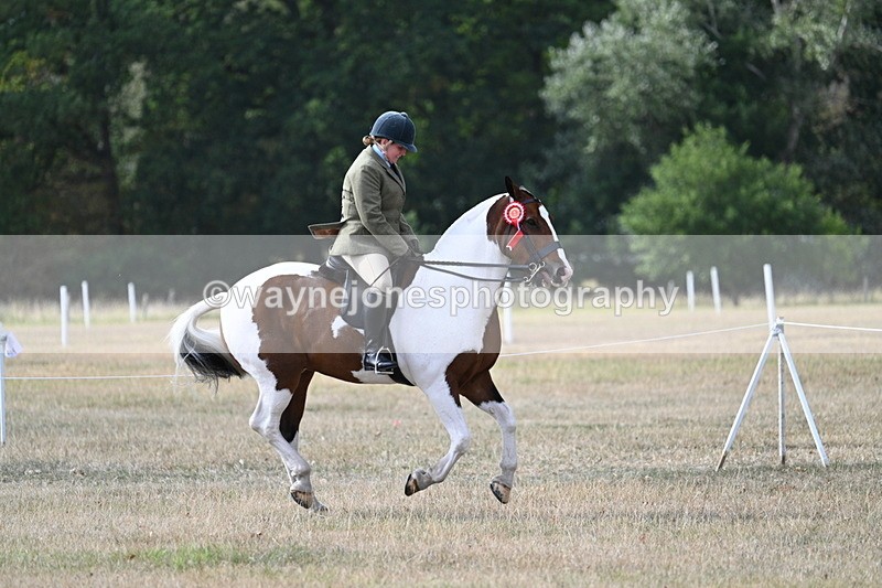 WJ7_7721 - Ridden Championship