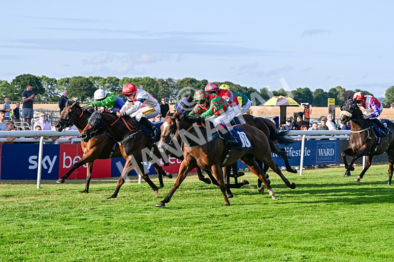 200726-Race 2-Opal Storm-6218 - Race 2 19.00pm Happy Birthday Katie Exon Handicap