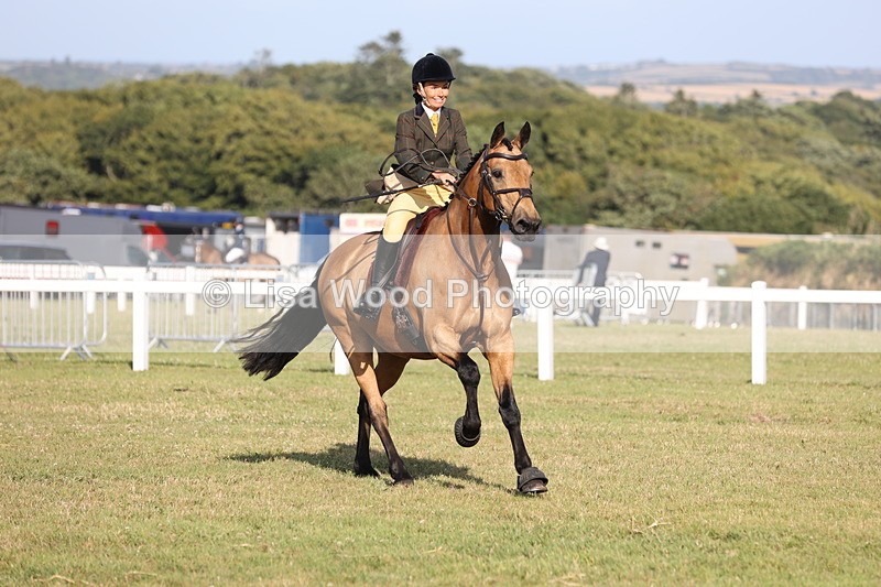 JPP_3197 - Class 21: Working Hunter 80cm