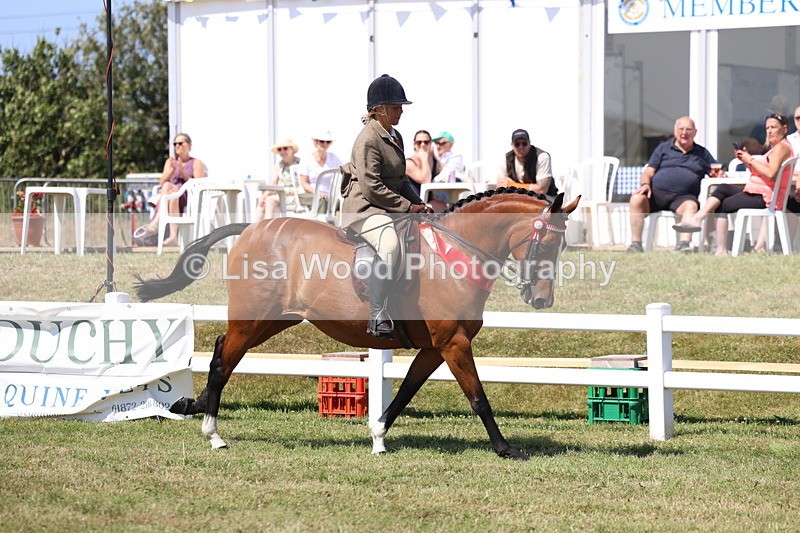 3E7A7643 - Rising Star Ridden Championship