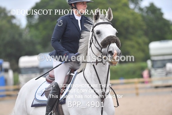 BPP_4901 - CLASS 7 Senior Foxhunter/ 1.20m Open